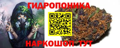 ПСИЛОЦИБИНОВЫЕ ГРИБЫ Коммунар