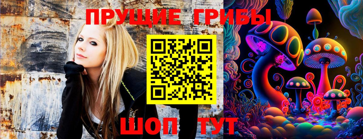 Каспийск  Галлюциногенные грибы Psilocybe  Вход с VPN 